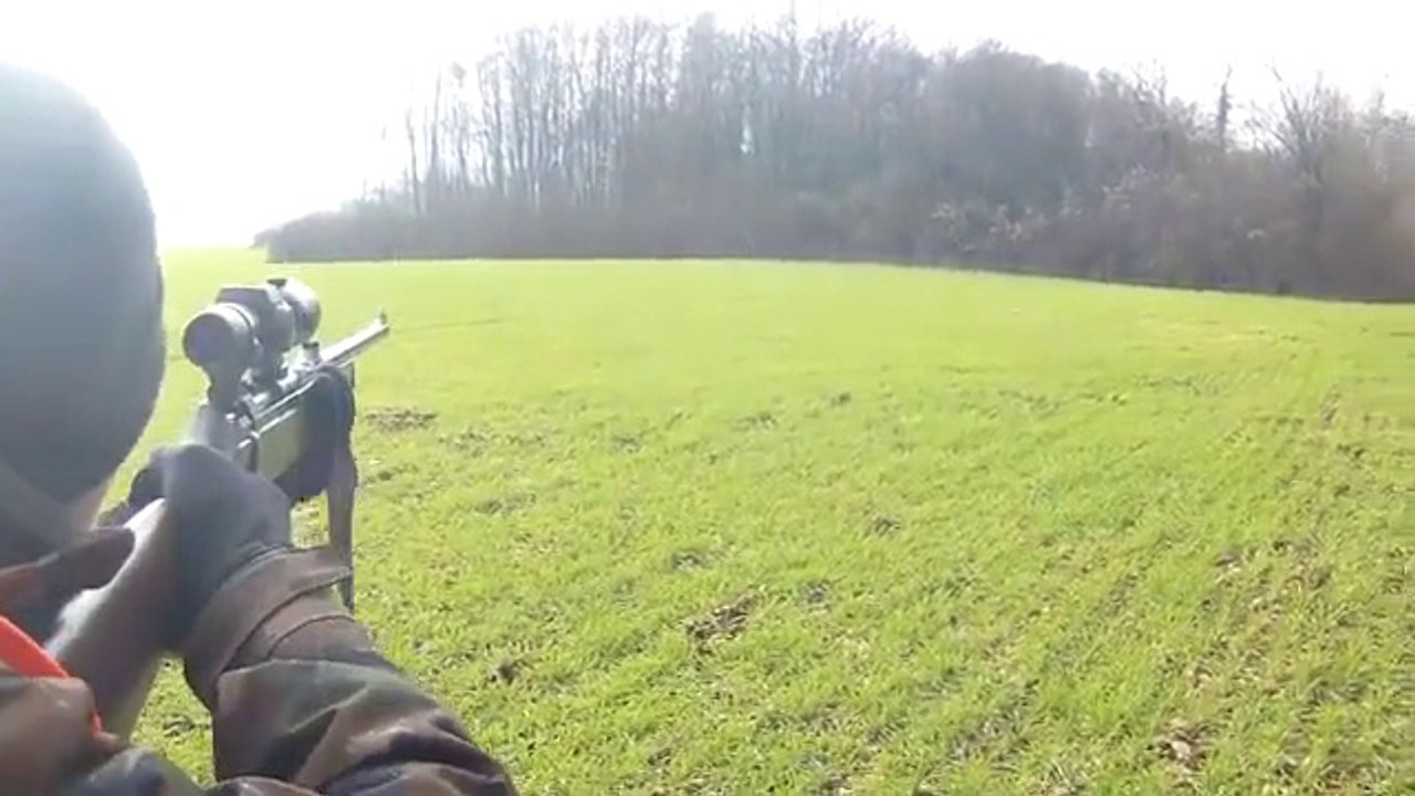 Chasse aux sangliers en battue