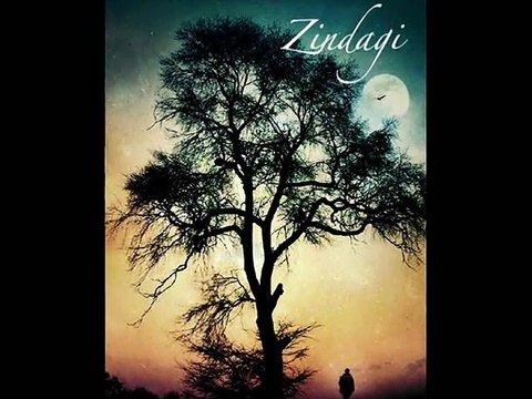 Meri Zindagi To Firaaq Hai - Peer e Kamil (S.A.W) -Nice Ghazal - Urdu Hindi Poetry Shairy