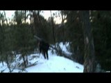 Steve's Outdoor Adventures - Father & Son Colorado Elk Hunt Part 1
