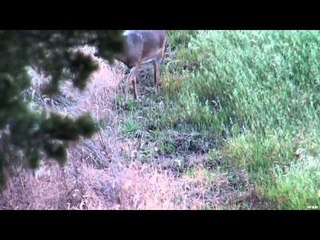 Hunting with HECS - Kansas Whitetail Adventure