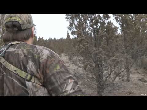 Hunting with HECS - Oregon Archery Mule Deer