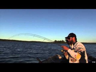 Maximum Limit Fishing - Blachford Walleye