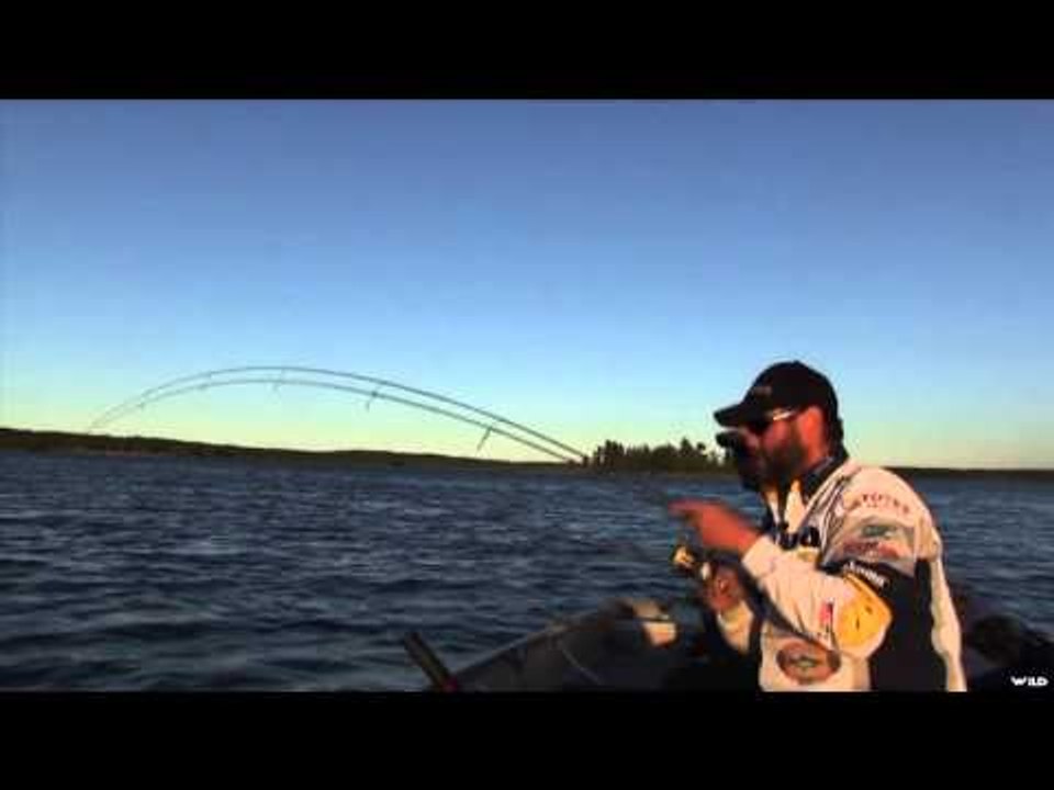 Maximum Limit Fishing - Blachford Walleye