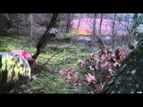 Easton Bowhunting TV - 3Rivers Archery Tour