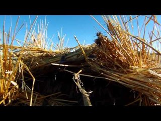 Cabela's Ultimate Adventures - Saskatchewan Waterfowl