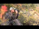 Outback Outdoors - Bowhunting Bugling Bulls in the Colorado Aspens