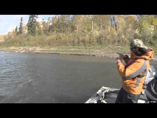 The Dimestore Fishermen  - Athabasca, Alberta