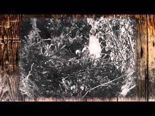 Just Us Hunting - It's a Holiday