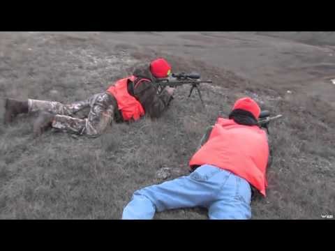 Maximus Outdoor Adventures - Mule Deer in the Big Muddy