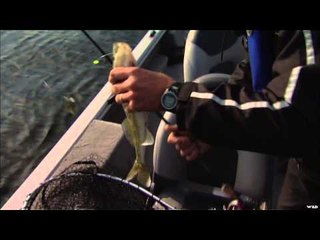 Canadian Sportfishing - Walleye World, Bay of Quinte, Trenton, Ontario