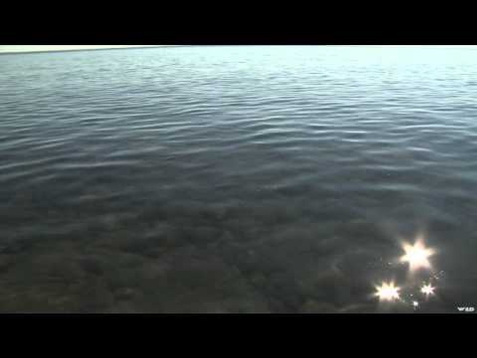 Adventures North - Great Bear Lake Trout, Arctic Grayling and Wildlife Part 1