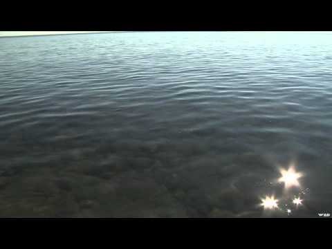 Adventures North - Great Bear Lake Trout, Arctic Grayling and Wildlife Part 1