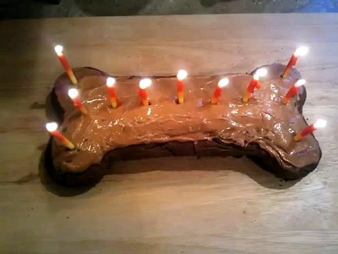 Questo è il suo ultimo compleanno e lo festeggiano in modo speciale