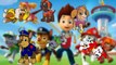 paw patrol cartoon theme song Finger Family Song youtube paw patrol cartoon theme song