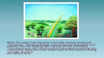 The Rainbow Bridge Ways to Remember Your Pet