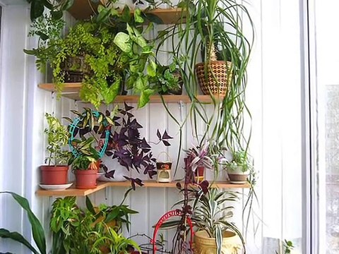 Очаровательный дизайн балкона. Фото интерьера балкона. Идеи балкона