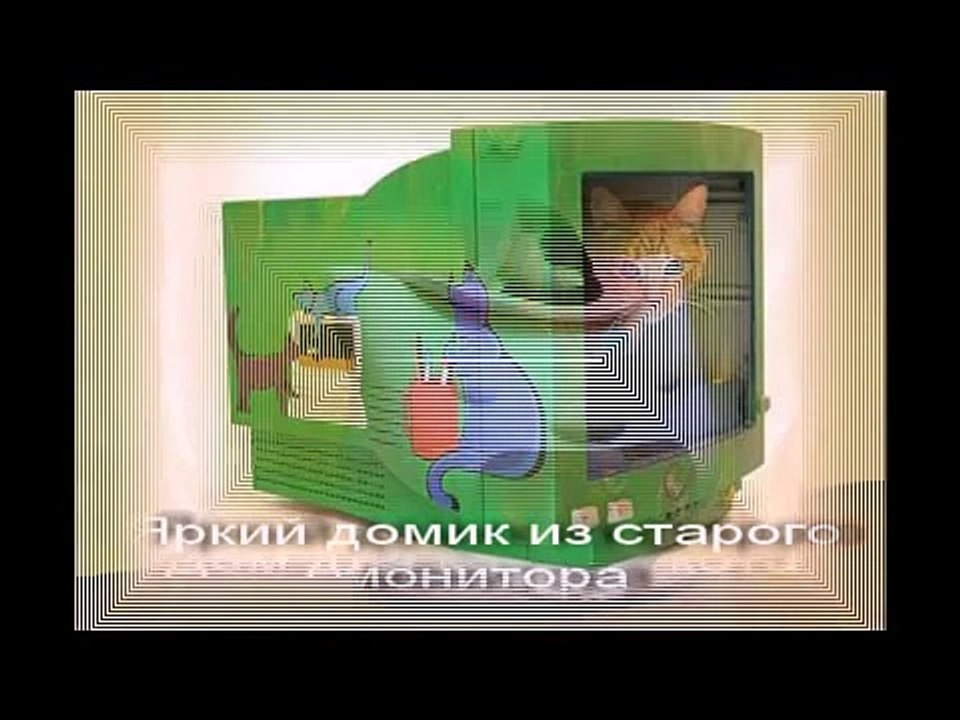Дизайн для котов. design for cats