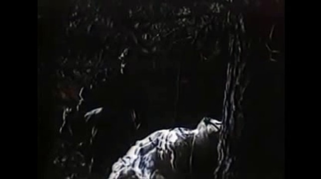 해외픽 오늘픽【 KOP77。COM 】로얄드림카지노랜드