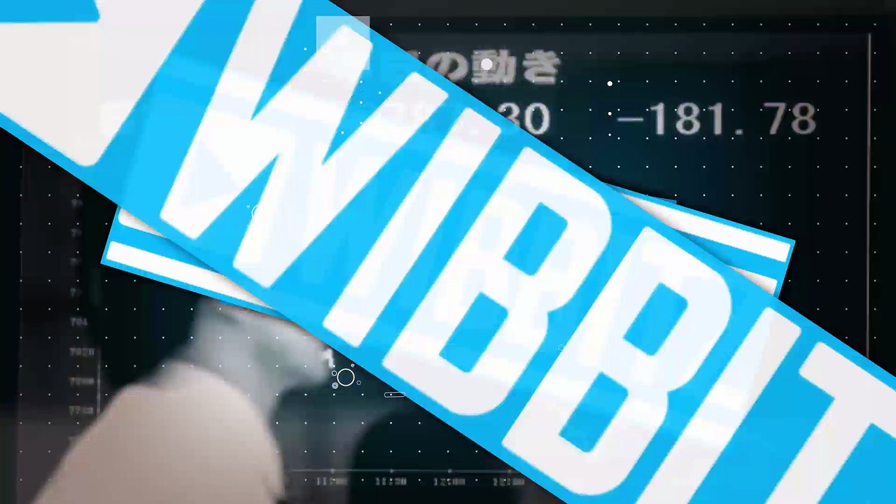 Japanese shares plunge amid global economic worries