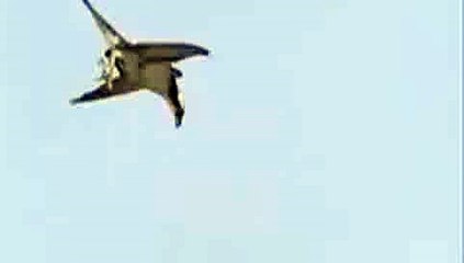 Yaradana kurban hangi teknoloji bunu böyle avlayabilir