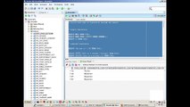 Oracle 11g Course - 04 - Expressions and Regular Expressions