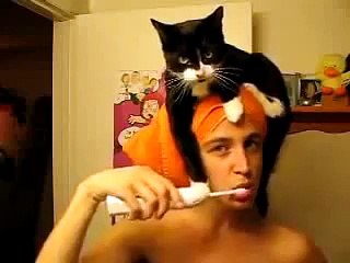 Кошка любит сидеть на голове у своей хозяйки