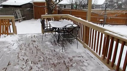 Рыжий кот на заснеженном дворе