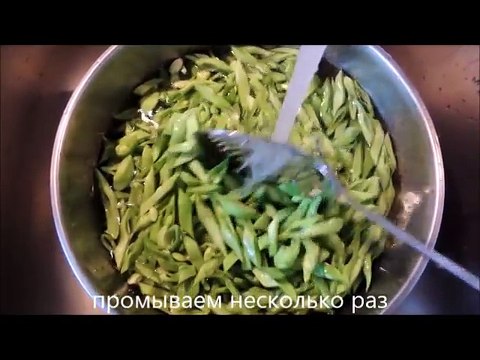 Фасоль.Азербайджанская кухня. Как приготовить стручки фасоли
