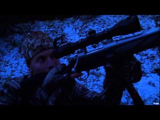 Canada in the Rough  - Mountain Mule Deer