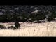 Extreme Outer Limits TV - New Mexico Elk, Part 1