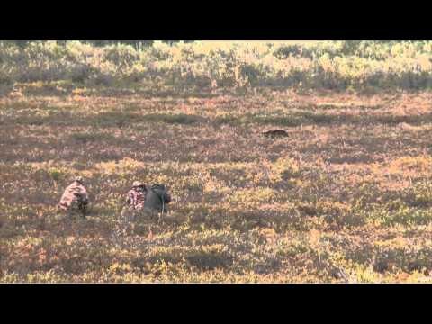 Steve's Outdoor Adventures - Alaska Adventures Series Part Six