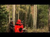 Steve's Outdoor Adventures - Travis Tritt's Elk Hunt