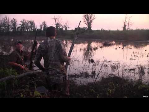 Mojo TV - Lazy Days in Louisiana