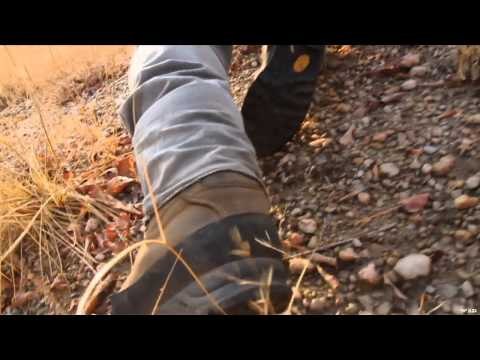 Where in the World is Colorado Buck? - Zimbabwe Safari with TDK Cape Buffalo