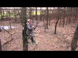 Primos - The Truth About Hunting - Louisiana Whitetail Deer