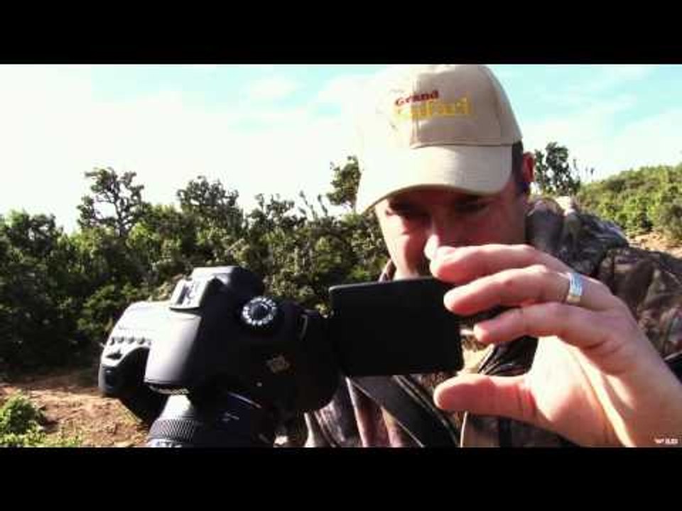 Extreme Outer Limits TV - Back to South Africa