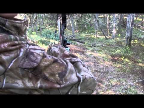 The Hunting Chronicles - Prairie Moose & Alberta Bruins