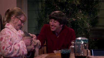 Big Bang Theory-Lapin-Bebe
