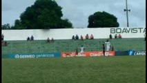 Cachorro invade jogo no Carioca e paralisa partida quatro vezes