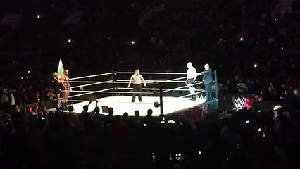 Brock Lesnar vs Rusev - WWE LIVE - Video Dailymotion
