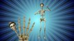 3D Funny Skeletons Finger Family Rhyme | 3D Daddy Finger Song | Animated Nursery Rhyme for Children