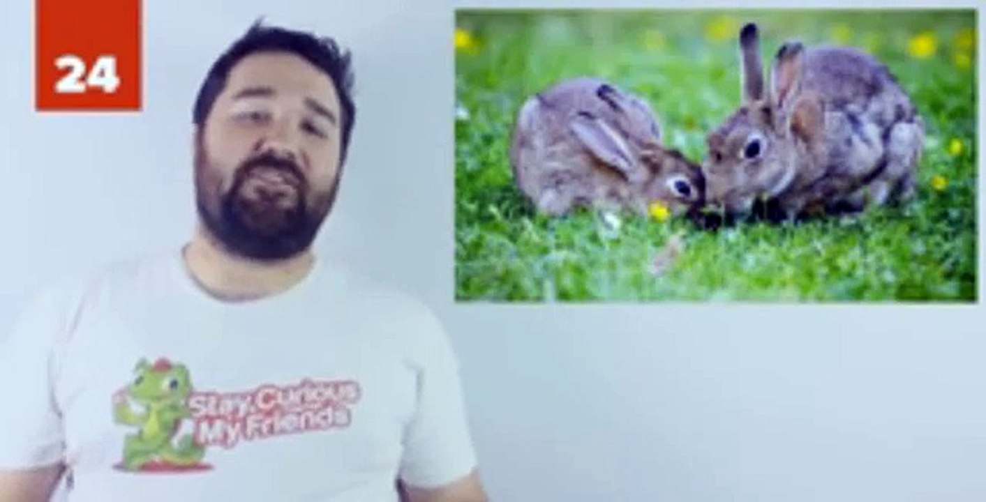 25 Reasons That Japan Is One Of The Strangest And Most Interesting Places In The World (Funny Videos 720p)