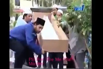 কবরের সাপ Snakes of grave A real video