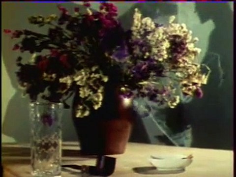 Ombres chinoises (Raoul Ruiz, 1982)