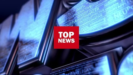 Air Bonsai- Schwebendes Bäumchen begeistert die Massen