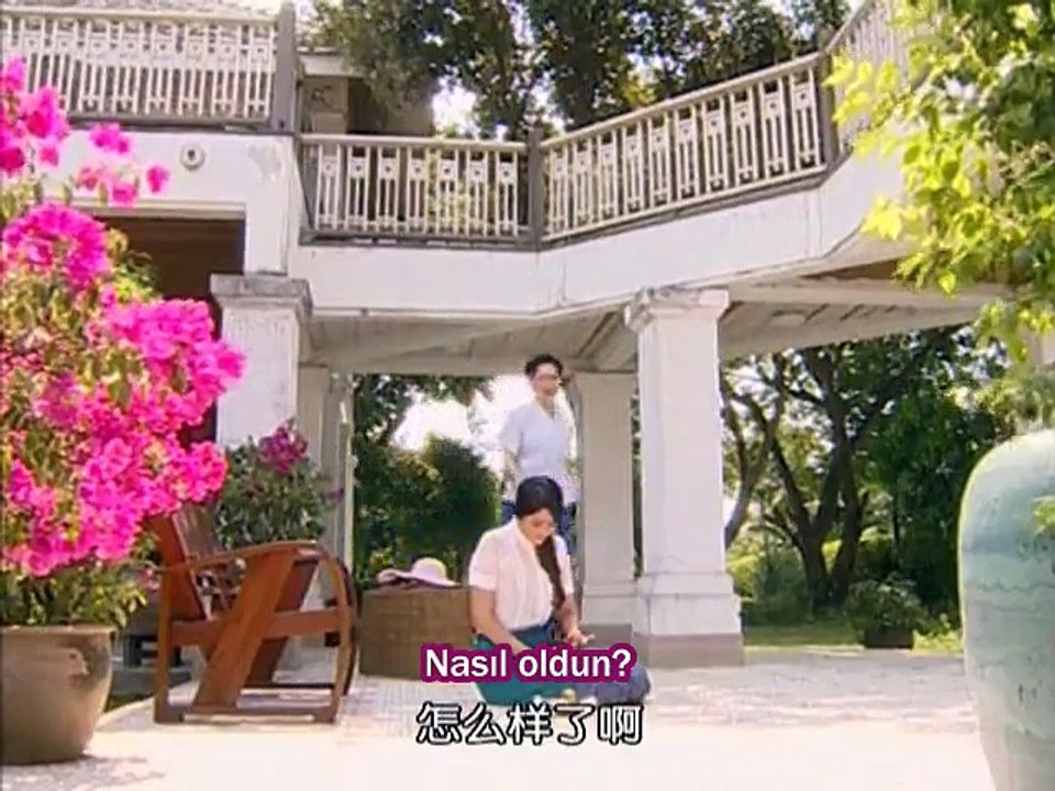 ngao Tr 6
