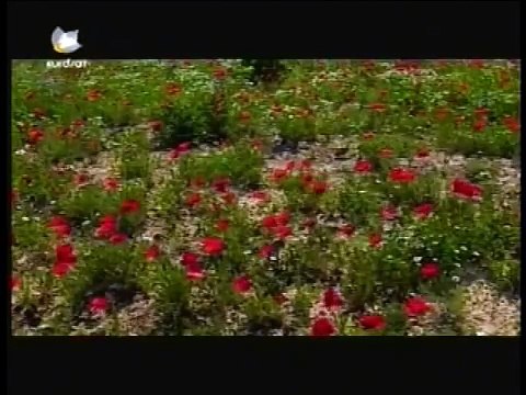 Kurdish Folk Music Qale Mere