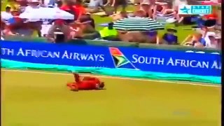 Best Catches in Cricket History! Best Acrobatic Catches! (Please comment the best catch)