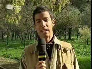 Gato fedorento 01 cout