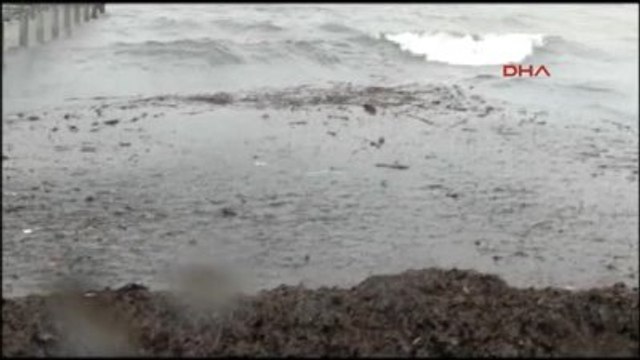 Balıkesir - Rüzgar Denizdeki Çöpleri Kıyıya Taşıdı